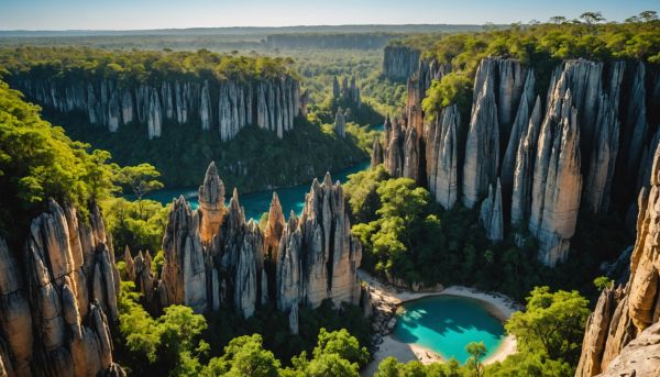 Je vous emmène visiter le parc de l'Ankarana